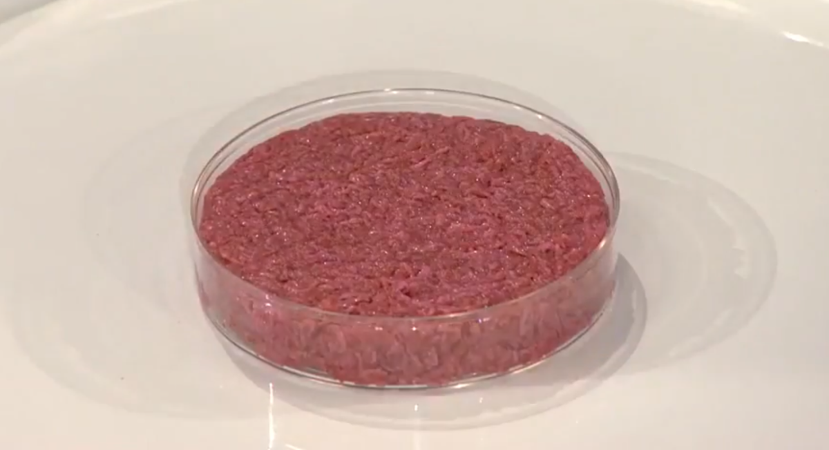 cultured_meat