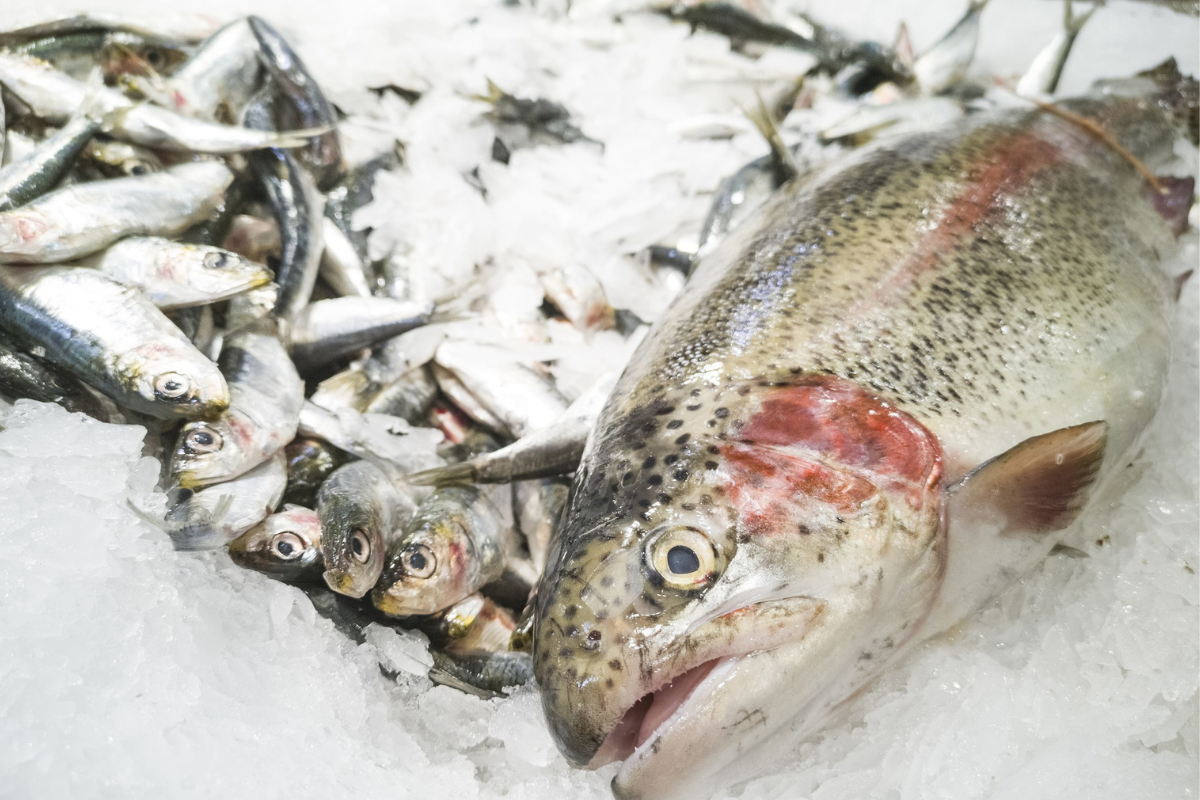 UK Seafood