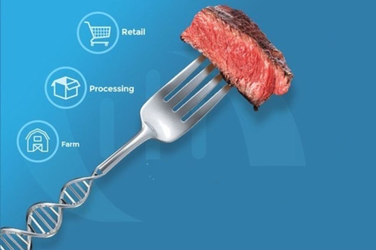Steak DNA tracing