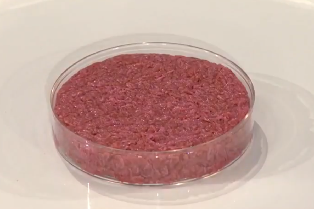 Lab-grown meat