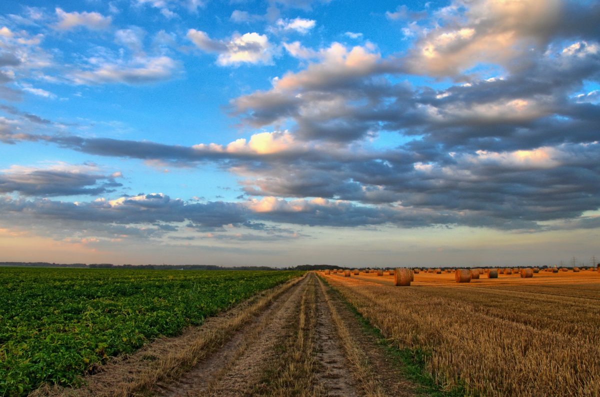 Innovative Farming