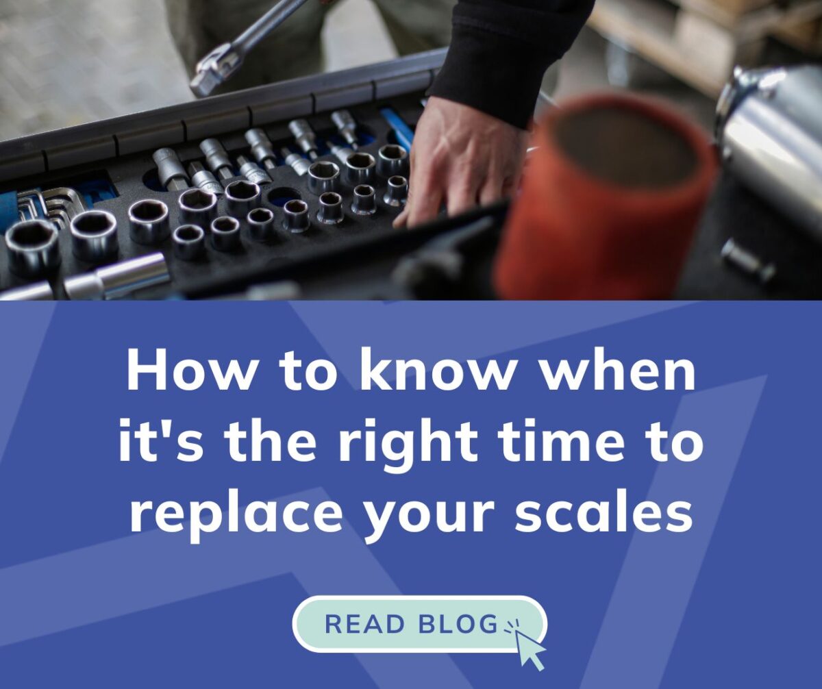 How to know when it's the right time to replace your scales
