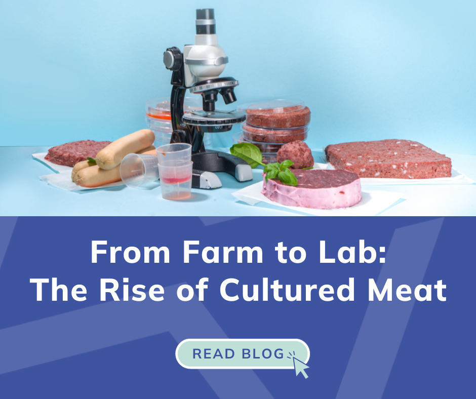 From Farm to Lab: The Rise of Cultured Meat