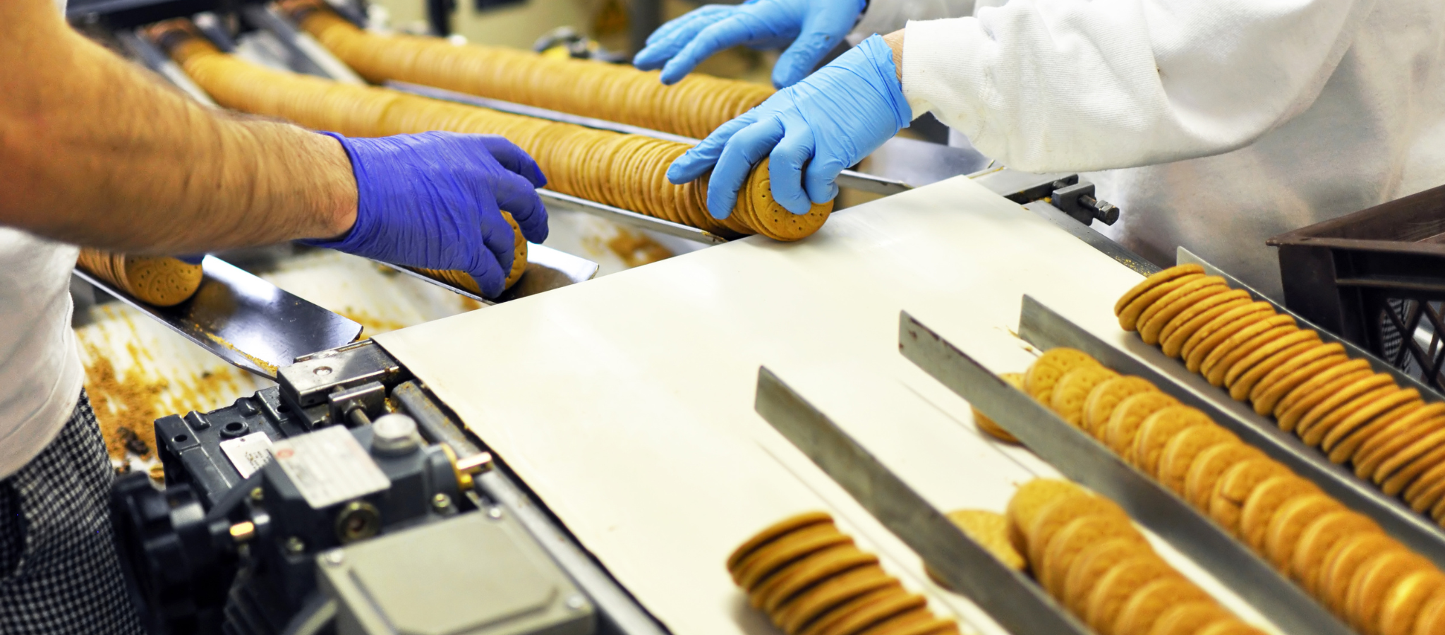 Importance of hygienic bench scales for food manufacturing