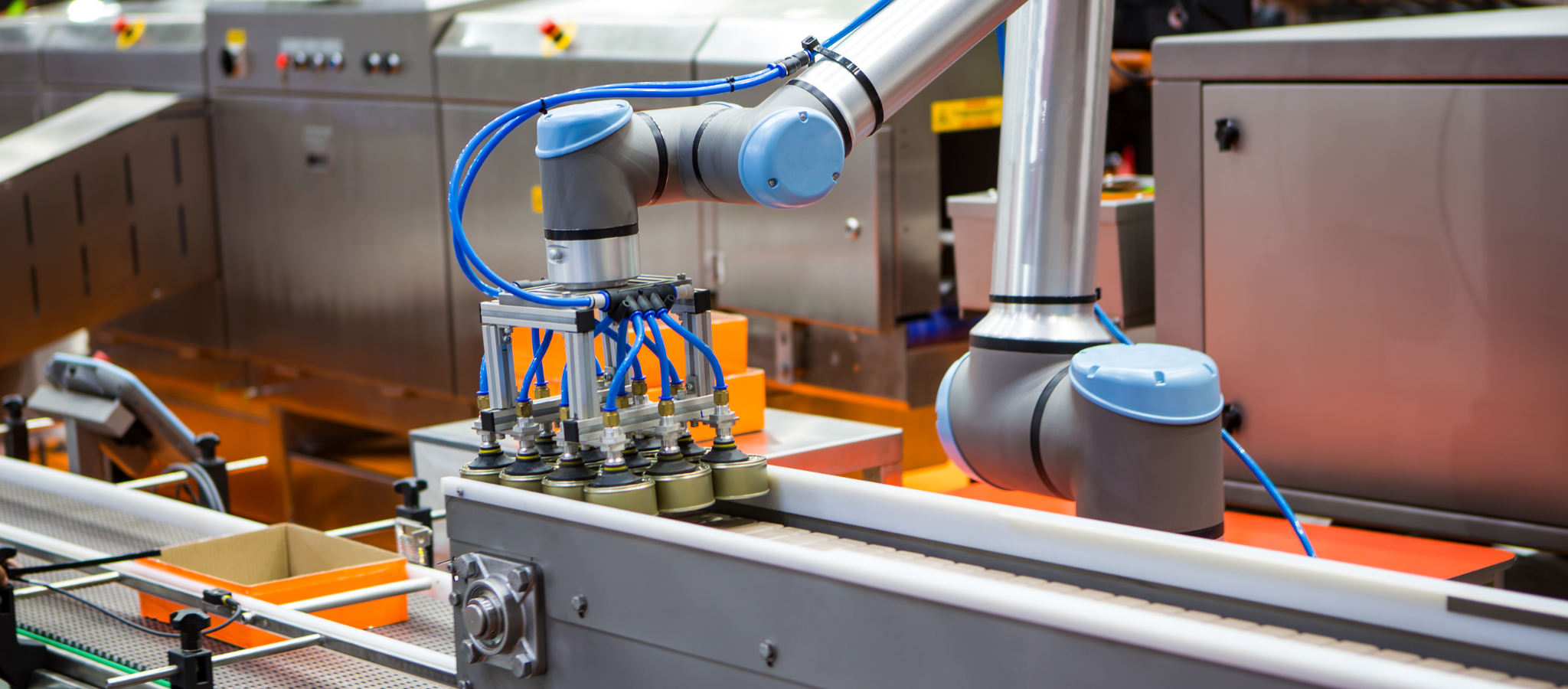 Key Factors in Integrating Industrial Weighing Scales into Automated Production Processes 