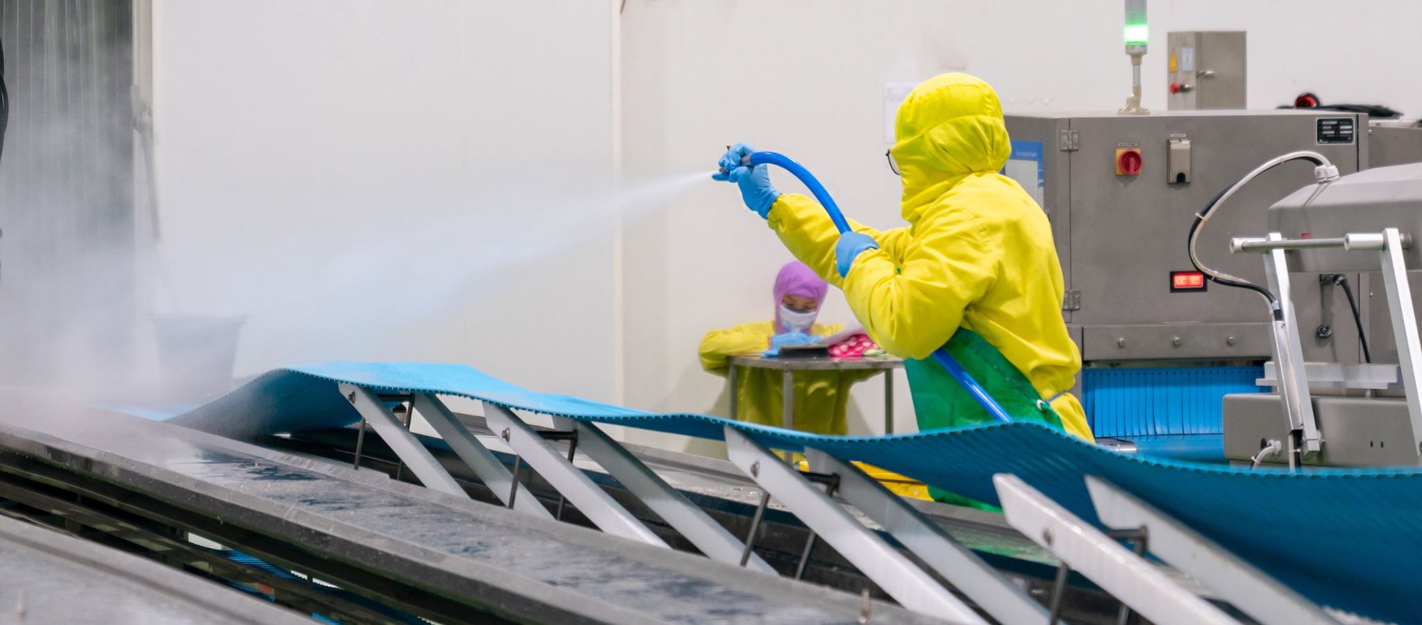 IP ratings for washdown scales in manufacturing