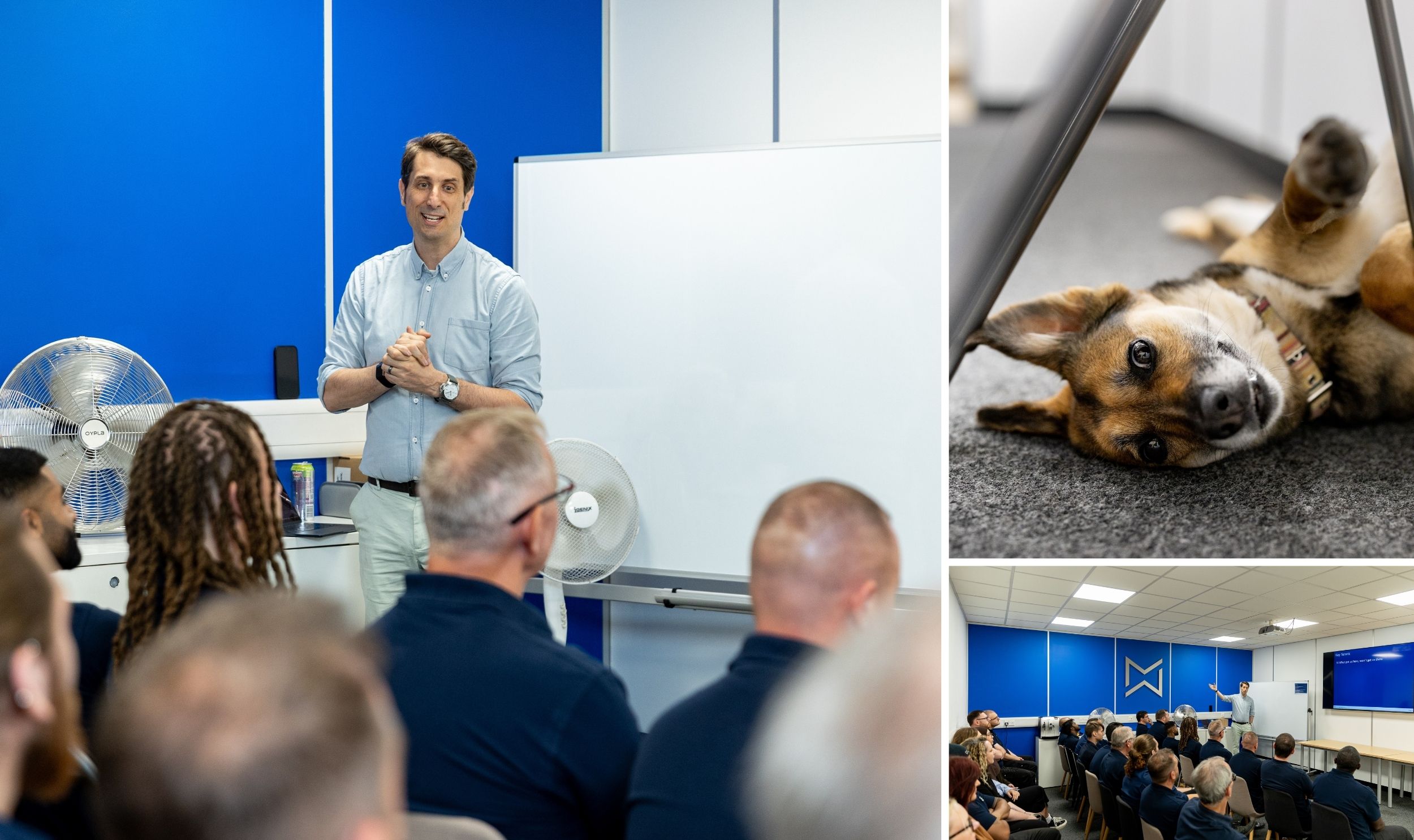 MWS Micro Weighing Solutions company appreciation day and service awards